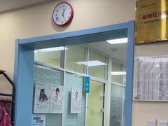 -全心全意连锁动物医院·微创中心·内科急重症·心脏专科(丰管路店)