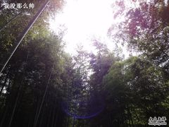-天目湖山水园