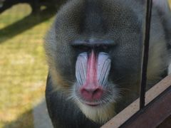 -云南野生动物园
