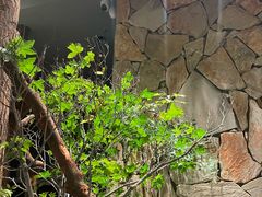 -森SPA·泰式按摩·精油Massage(宝安中心店)