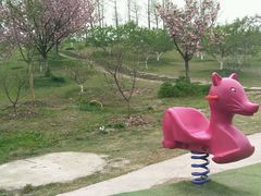 -秀丽东方