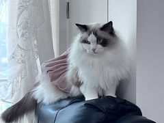 -西涌国际滨海旅游区