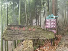 -莫干山风景区