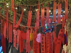 -不曾在把把烧•烧烤(莲坂磐基店)