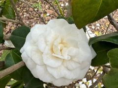 -白塘生态植物园