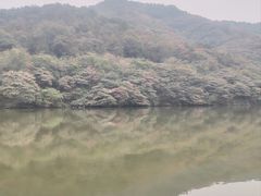 -黄埔油麻山森林公园