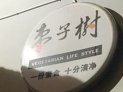 -枣子树·素食餐厅(普陀山店)