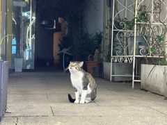 -衣裳街历史文化街区