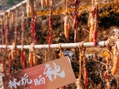 -林坑古村落
