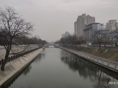 -天发芽·何记葫芦头泡馍·老字号(小南门店)