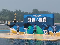 -秦皇岛乐岛海洋王国