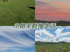 -坝上京北第一草原景区