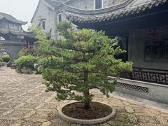-口岸雕花楼