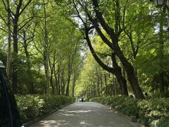 -山外山菜馆(玉泉路店)