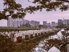 -洛阳桥