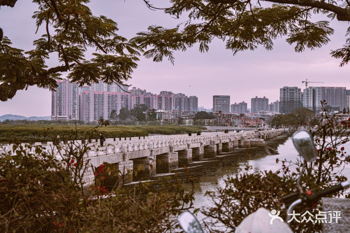 洛阳桥图片