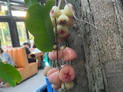-海岛八号龙虾烧烤田鸡(蓝天路总店)