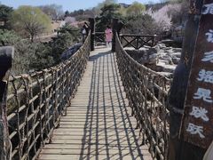 -北京西山国家森林公园