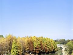 -瑶湖郊野森林公园