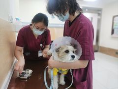 -美联众合动物医院·24h京西诊疗中心