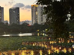 -南宁南湖公园
