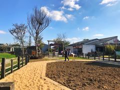 -田园东方蜜桃村的田野营地