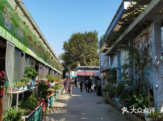 曾经的夫子庙花鸟鱼虫市场