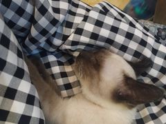 -万小咖.猫咖(中山路天虹店)