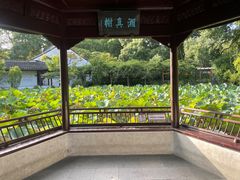 -上海醉白池公园