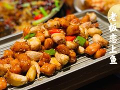 -老板恋上鱼(荣盛广场店)