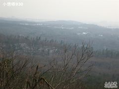 -紫金山天文台