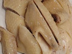 万岁清仁鸡-万年酒楼(越秀南路店)