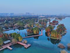 -贡湖湾湿地公园