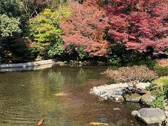 -水前寺成趣园