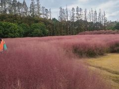 -嘉北郊野公园