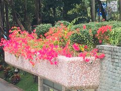 -深圳国际园林花卉博览园