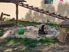 -石家庄市动物园