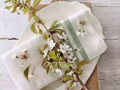 -绵阳盛世樱花悠乐谷