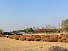 -春花秋色城市公园