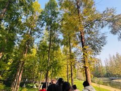 -黄海国家森林公园