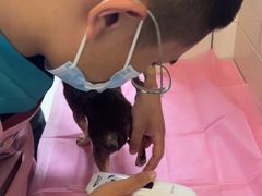 -北京观赏动物医院·24小时大型综合·猫专科·异宠专科