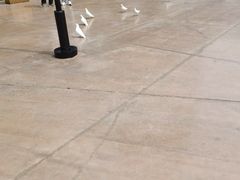 -济南方特东方神画