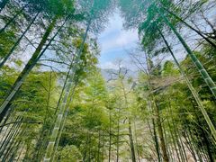 -湖州龙王山景区