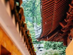 -天台山景区