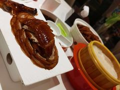 -大铁勺新津菜(东丽阳光新业广场店)