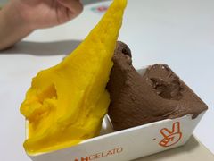 -野人先生现做冰淇淋(北京环宇荟店)