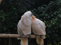 -杭州野生动物世界