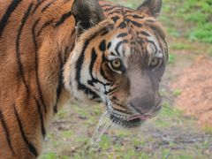 -杭州野生动物世界