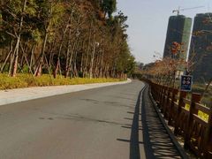 -大亚湾红树林城市湿地公园