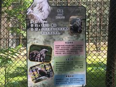 -哈尔滨北方森林动物园